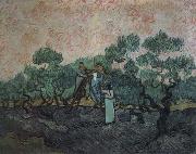 Vincent Van Gogh the olive pickers,saint remy,1889 oil painting on canvas